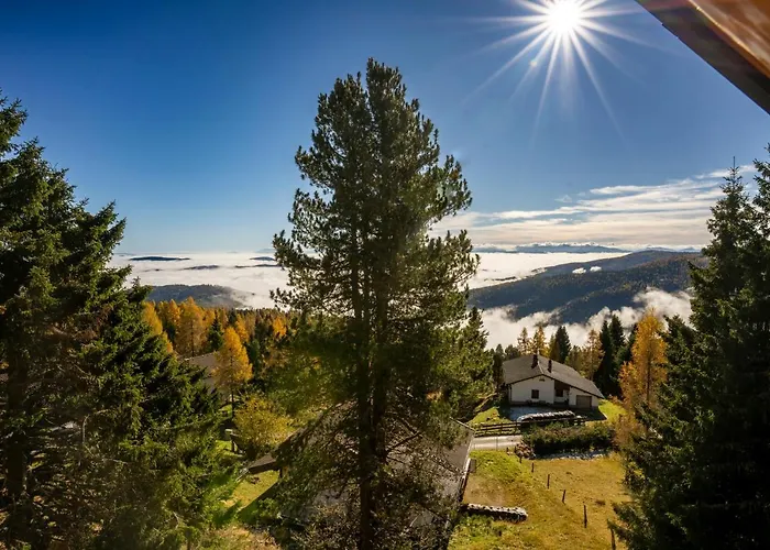 Non-sens By L'occitane